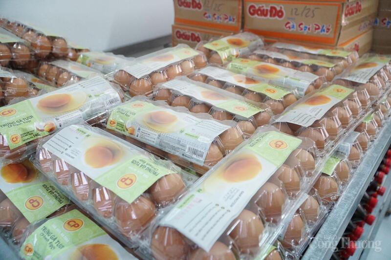 Kho Okivip Nổ Hũ, Bắn Cá, Thể Thao, Game Bài cộng đồng Đà Nẵng gồm các nhu yếu phẩm thiết yếu để hỗ trợ cho các hộ nghèo, hộ khó khăn, người khuyết tật...