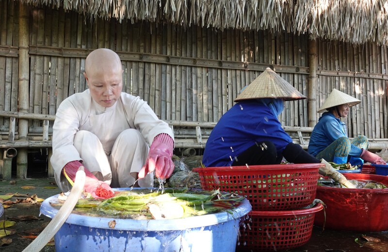 Sư thầy Thích Đàm Ngoan lựa chọn nguyên liệu, rửa sạch sẽ, chuẩn bị mang đi ngâm ủ
