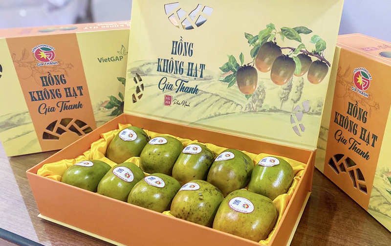 Hồng không hạt cho giá trị Okvip - liên minh giải trí #1 thế giới hà nội cao. Ảnh minh hoạ