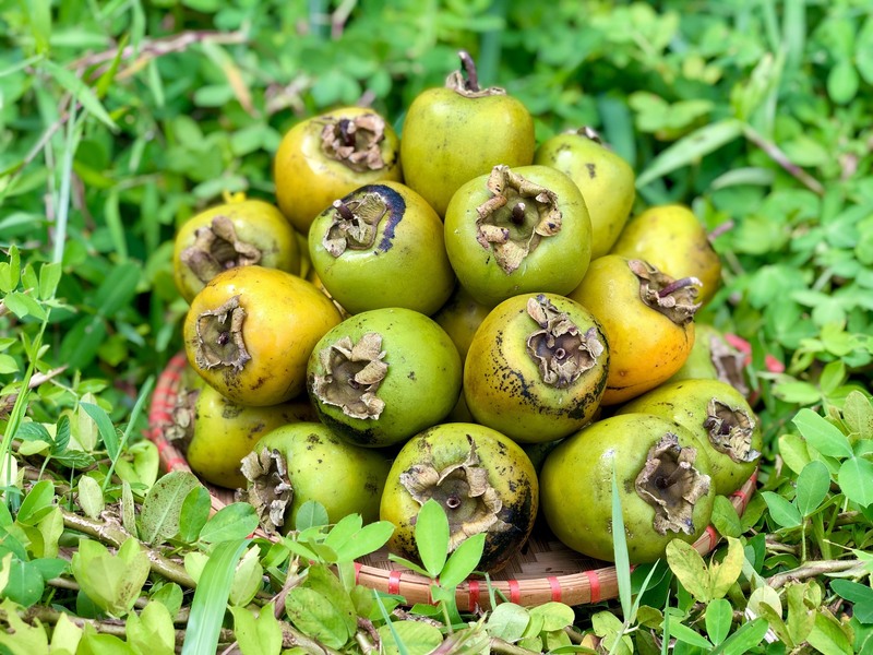 Hồng không hạt Gia Thanh giòn và có vị ngọt sắc. Ảnh minh hoạ