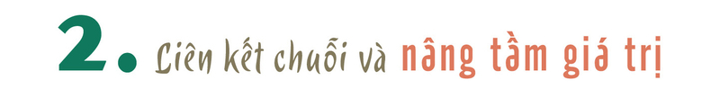 Longform | Sơn La: Hiệu quả vượt trội từ chuỗi giá trị trái cây  - 4