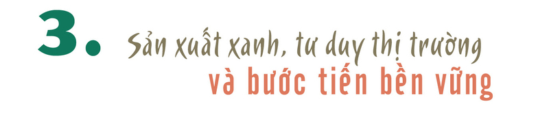 Longform | Sơn La: Hiệu quả vượt trội từ chuỗi giá trị trái cây  - 7