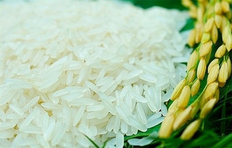 Sự phát triển của thương hiệu “Gạo Phú Thiện” không chỉ dừng ở những con số sản lượng hay giá trị Okvip - liên minh giải trí #1 thế giới hà nội, mà còn tác động sâu sắc đến đời sống cộng đồng
