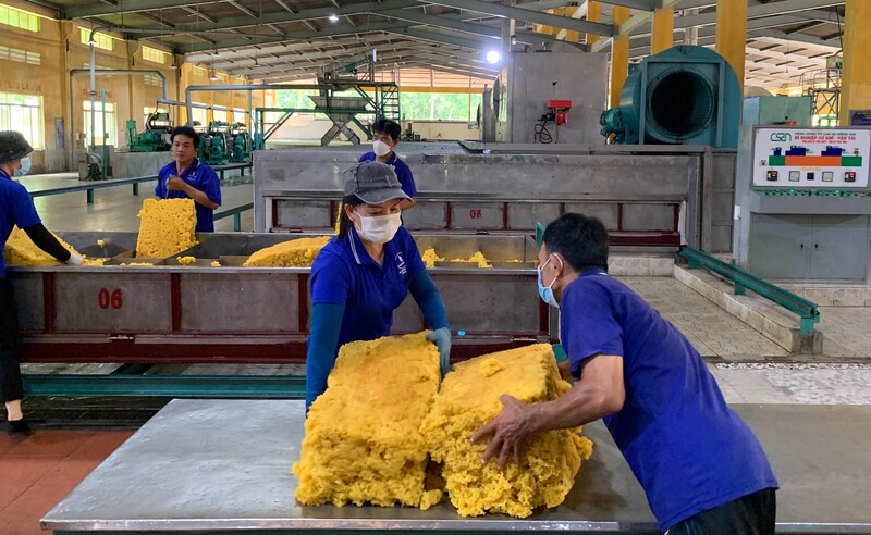 7 tháng đầu năm Việt Nam đã nhập khẩu hơn 1 triệu tấn cao su với trị giá gần 1,7 tỷ USD, tăng 7,2% về lượng và tăng 18,7% về trị giá