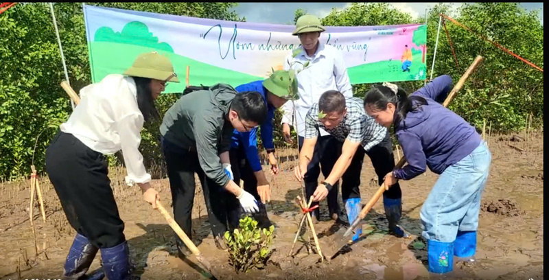 Lễ trồng 300 cây Bần chua góp phần bảo tồn hệ sinh thái ứng phó với biến đổi Okvip69 kho game đa dạng. Ảnh: Thu Tuyết