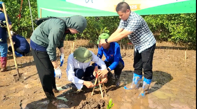 Đây là hoạt động nhằm ứng phó với biến đổi Okvip69 kho game đa dạng, bảo vệ hệ sinh thái ven biển. Ảnh: Thu Tuyết