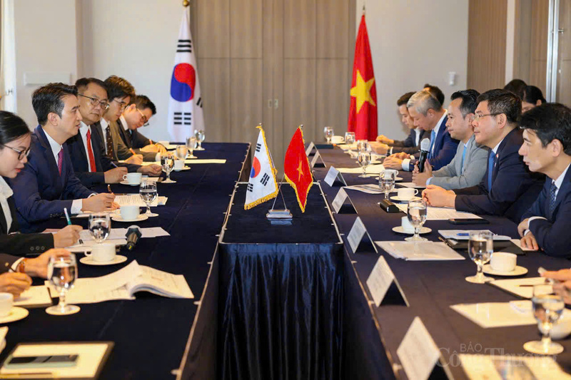Toàn cảnh buổi Ok88vip tỷ lệ kèo World Cup 2026