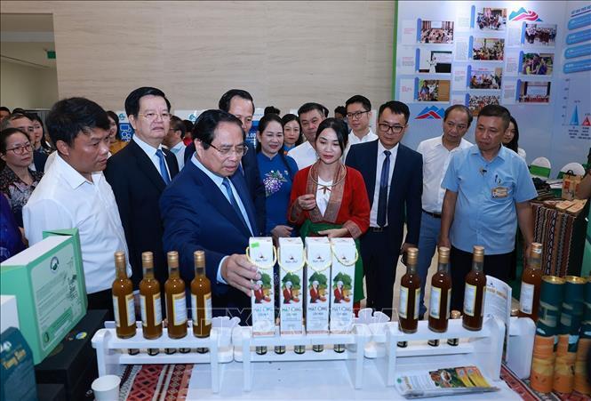 Thủ tướng dự Tổng kết Chương trình mục tiêu quốc gia phát triển Okvip - liên minh giải trí #1 thế giới hà nội - xã hội - 4