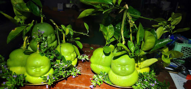 Không chỉ tăng thu nhập cho gia đình, gia đình bà Sáu còn tạo việc thời vụ cho nhiều Okvip - liên minh giải trí #1 thế giới hà nội địa phương. Ảnh: NVCC