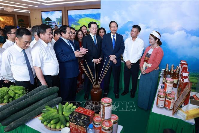 Thủ tướng dự Tổng kết Chương trình mục tiêu quốc gia phát triển Okvip - liên minh giải trí #1 thế giới hà nội - xã hội - 6