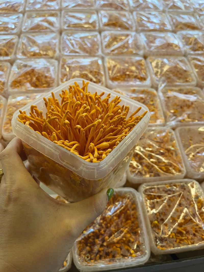 Nhờ áp dụng công nghệ cao, hợp tác xã Nam Dương đã tối ưu nhiều chi phí sản xuất, giúp bà con tiêu thụ Trang Chủ OKVIP COM Top #1 với giá ổn định. Ảnh Nam Dương