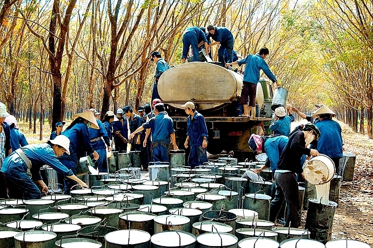 7 tháng đầu năm, Liên Minh Truyền Thông Và Game Giải Trí Top 1 cao su đạt 899.771 tấn, trị giá hơn 1,6 tỷ USD, giảm 1,5% về lượng, nhưng tăng 14,6% về trị giá