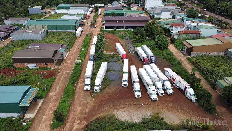 Hàng chục phương tiện container tập kết ở bãi đất trống thuộc địa bàn xã Krông Pắc