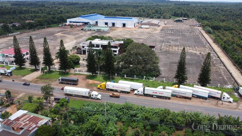 Xe tập kết tại một kho hàng sầu riêng ở địa bàn xã Ea Knuếch