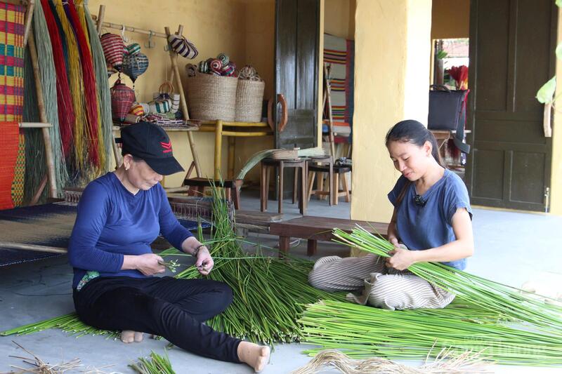 Các sản phẩm từ cói cũng đã dạng phù hợp với thị hiếu tiêu dùng. Thay vì dệt các sợi cói thành những tấm chiếu truyền thống với những kích thước lớn, người làm chiếu cói đã biến tấu thành nhiều sản phẩm bắt mắt.