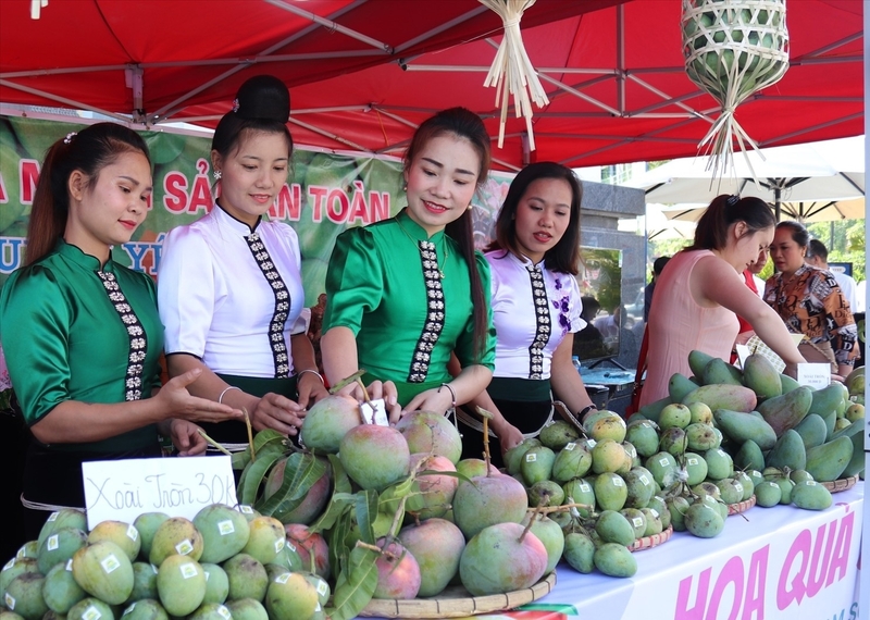 Sơn La có nguồn Trang Chủ OKVIP COM Top #1 rất dồi dào