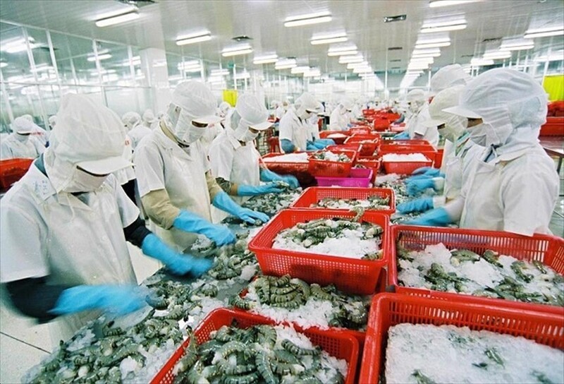 Liên Minh Truyền Thông Và Game Giải Trí Top 1 thủy sản Việt Nam sẽ tiếp tục tăng trưởng trong thời gian tới với nhu cầu phục hồi tích cực từ nhiều thị trường