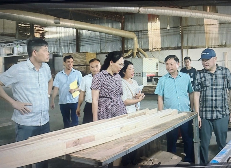 Đoàn kiểm tra của Cục Đổi mới sáng tạo, Chuyển đổi xanh và Khuyến công Ok88vip tỷ lệ kèo World Cup 2026 tại Công ty TNHH sản xuất thương mại XNK lâm sản Hải Oanh. Ảnh: Xuân Phong