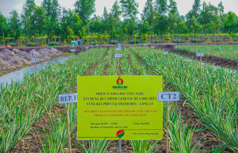 Nâng cao năng lực thử nghiệm (Ảnh PVCFC)