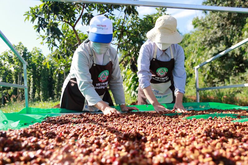 Quy mô nhỏ, đa dạng sinh thái và gắn bó với bản sắc văn hóa, lại tạo ra lợi thế cạnh tranh khác biệt của Việt Nam (Ảnh: Cổng Thông tin điện tử tỉnh Đắk Lắk)