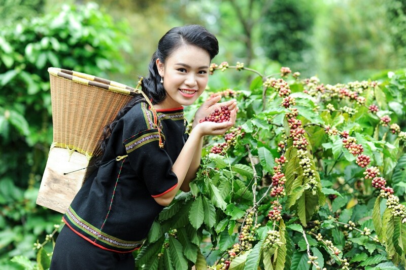 Buôn Ma Thuột là thủ phủ của cà phê Việt Nam (Ảnh: Cổng Thông tin điện tử tỉnh Đắk Lắk)