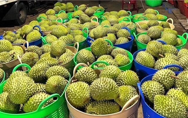 8 tháng đầu năm, rau quả Việt xuất bán hơn 4,6 tỷ USD, giảm 2% so với cùng kỳ năm ngoái. Ảnh minh hoạ