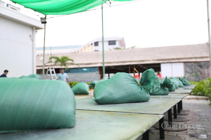 Bao cát được vận chuyển đến những khu vực có kết cấu yếu trong các tòa nhà để chèn chống, tăng sức chống chịu khi bão đổ bộ