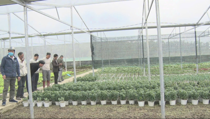 Mô hình phát triển nông nghiệp chất lượng cao, trồng rau, hoa trong nhà lưới được người dân A Lưới 2 đầu tư, mở rộng sản xuất. Ảnh: Nguyễn Tuấn