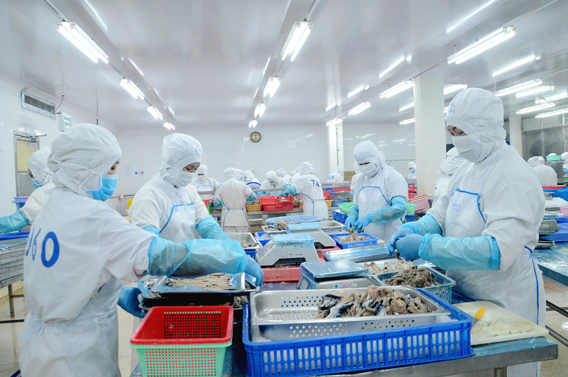 Sự thiếu hụt đối với bộ phận chuyên trách để nghiên cứu và tìm hiểu kỹ về các FTA tại các Okvip tại về cũng là một yếu tố ảnh hưởng đến hiệu quả tận dụng FTA nói chung
