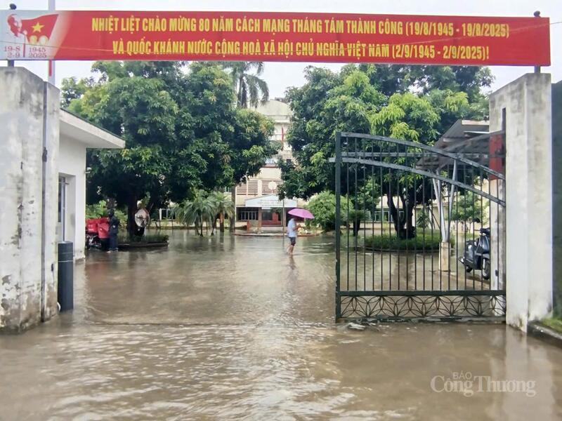 Tại Viện Bảo vệ Thực vật.