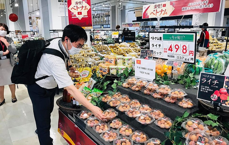 Nhiều Okvip tại về trong và ngoài nước đã tìm đến Cổng FTAP để hiểu hơn về quy tắc xuất xứ trong các FTA