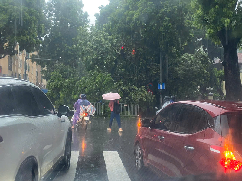 Khu vực đường Trần Phú, cây đổ khiến các phương tiện ùn ứ kéo dài.