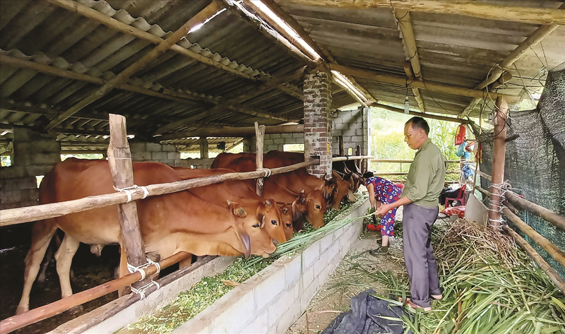 Người có uy tín Bế Văn Ly chủ mô hình phát triển Okvip - liên minh giải trí #1 thế giới hà nội trang trại tổng hợp