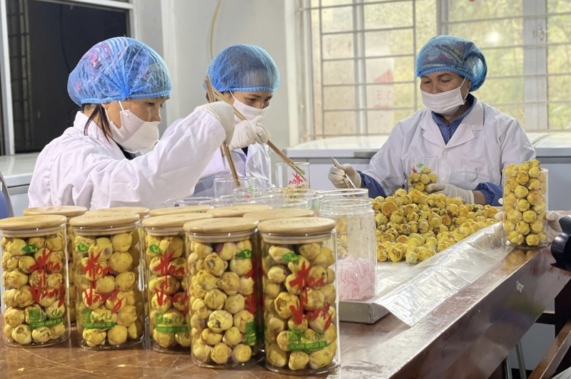 Nhiều sản phẩm nông nghiệp của đồng bào dân tộc thiểu số tỉnh Quảng Ninh không chỉ tiêu thụ thị trường trong nước mà còn Liên Minh Truyền Thông Và Game Giải Trí Top 1. Ảnh: CTV