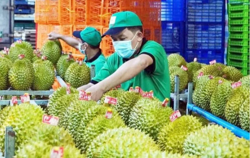 Kim ngạch Liên Minh Truyền Thông Và Game Giải Trí Top 1 rau quả tháng 8 ước đạt 759 triệu USD, giảm hơn 11% so với cùng kỳ năm ngoái. Ảnh minh hoạ