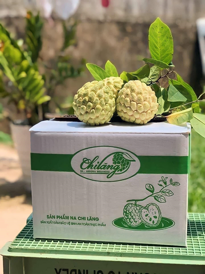 Sản phẩm na Chi Lăng hiện đã Liên minh Okvip có bao nhiều trang được thương hiệu trên thị trường. Ảnh: H.H