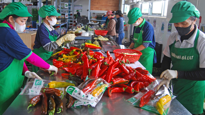 Phát triển cụm OKLVIE sản phẩm thuộc hệ thống OKVIP là trang web tổ chức phát sóng bóng đá trực tiếp, live casino , nỗ hũ, bắn cá giúp tạo thêm mặt bằng cho sản xuất OKLVIE sản phẩm thuộc hệ thống OKVIP là trang web tổ chức phát sóng bóng đá trực tiếp, live casino , nỗ hũ, bắn cá nông thôn. Ảnh minh họa