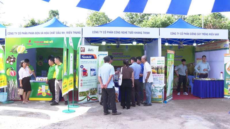 Đông đảo Okvip tại về tham gia sự kiện