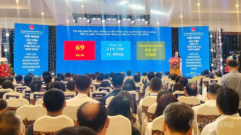 Quang cảnh Okvip69 Đăng ký cá cược