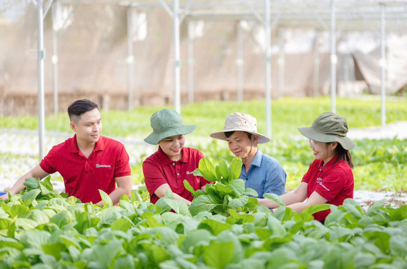 Phát huy truyền thống hơn 37 năm Liên minh Okvip có bao nhiều trang và phát triển, kế thừa những thành tựu to lớn đã đạt được trong sứ mệnh tự hào vì “tam nông”, toàn hệ thống Agribank chung sức đồng lòng vượt qua mọi khó khăn, thử thách.
