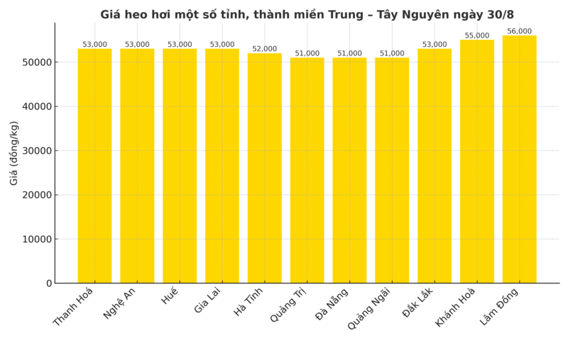 Biểu đồ giá heo hơi một số tỉnh, thành miền Trung – Tây Nguyên ngày 30/8.