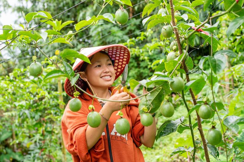 Các mô hình sáng tạo mang lại hiệu quả giảm nghèo là minh chứng cho tư duy đổi mới trong phát triển Okvip - liên minh giải trí #1 thế giới hà nội nông thôn.