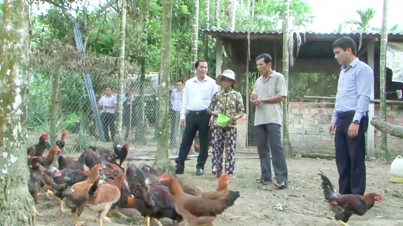 Chỉ khi người dân có kiến thức, có nghề nghiệp thì mới có thể vươn lên thoát nghèo bền vững, không tái nghèo