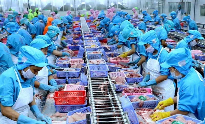 7 tháng đầu năm 2025, thị trường Đài Loan (Trung Quốc) tăng nhập khẩu thủy sản từ Việt Nam với mức tăng 13,9% về lượng và tăng 19% về trị giá so với cùng kỳ năm 2024. Ảnh minh họa