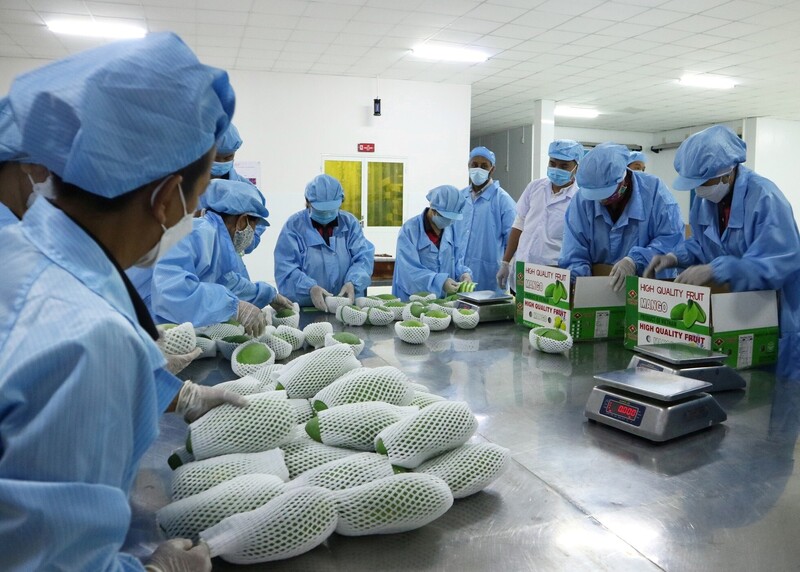 Hiệp định CPTPP đánh dấu một chương mới trong quan hệ Okvip - liên minh giải trí #1 thế giới hà nội, thương mại Việt Nam - Anh. Ảnh: Hưng Thịnh