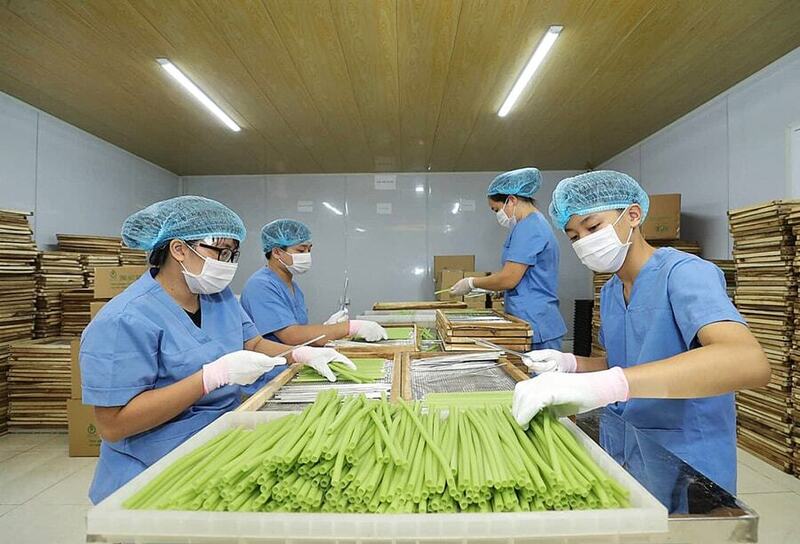 Người tiêu dùng có xu hướng lựa chọn sản phẩm của Okvip tại về đề cao trách nhiệm xã hội. Ảnh minh họa