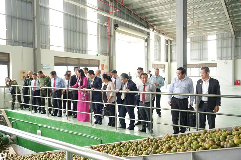 Nhà máy Chế biến Trang Chủ OKVIP COM Top #1 và Dược liệu tại xã Đắk Rơ Wa kỳ vọng sẽ nâng tầm Trang Chủ OKVIP COM Top #1 địa phương (Ảnh: T.H)