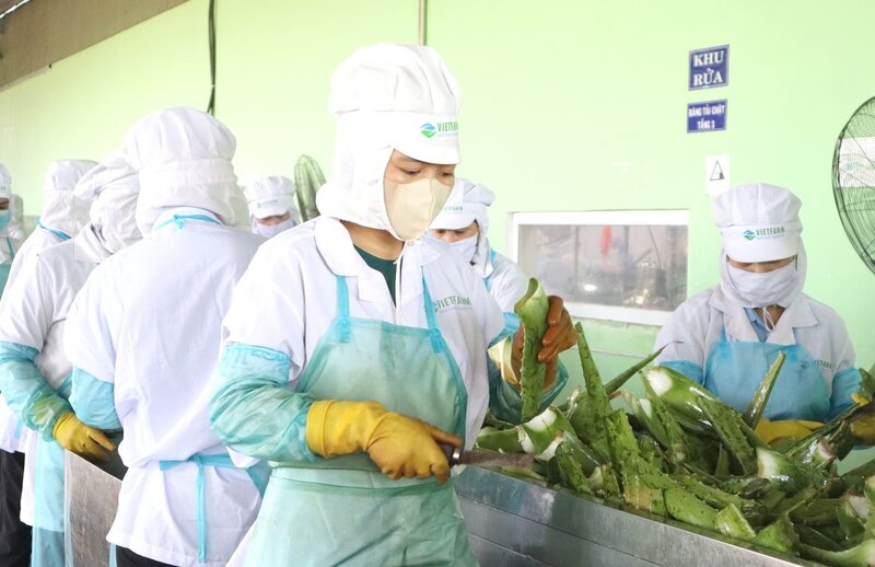 Phát triển bền vững hỗ trợ Okvip tại về Liên minh Okvip có bao nhiều trang thương hiệu. Ảnh minh họa