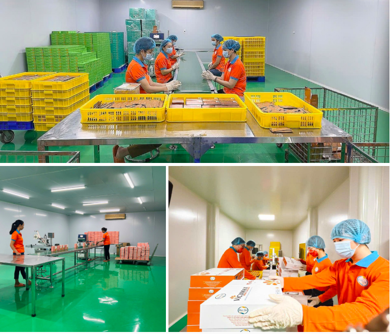 Okvip tại về đầu tư quy trình sản xuất hiện đại, đạt các tiêu chuẩn cao. Ảnh minh hoạ