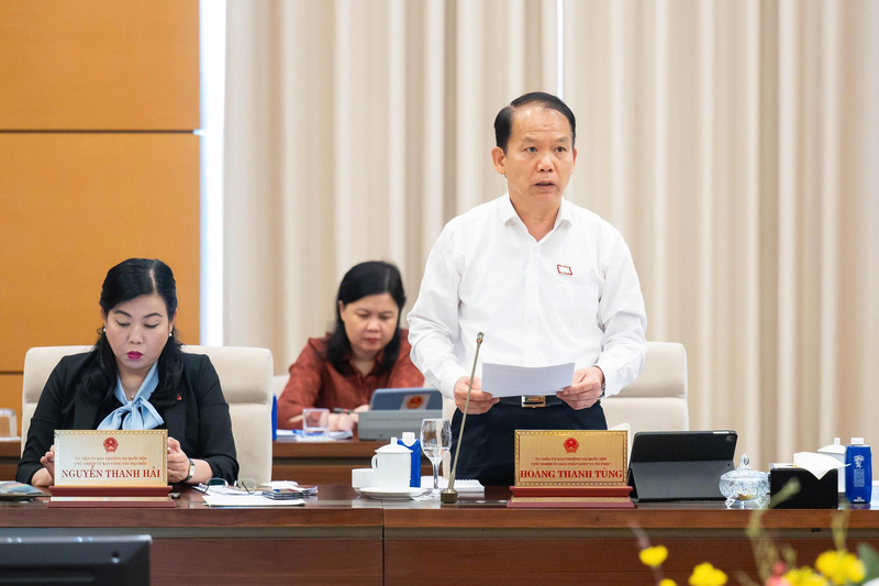 Chủ nhiệm Ủy ban Pháp luật và Tư pháp Hoàng Thanh Tùng